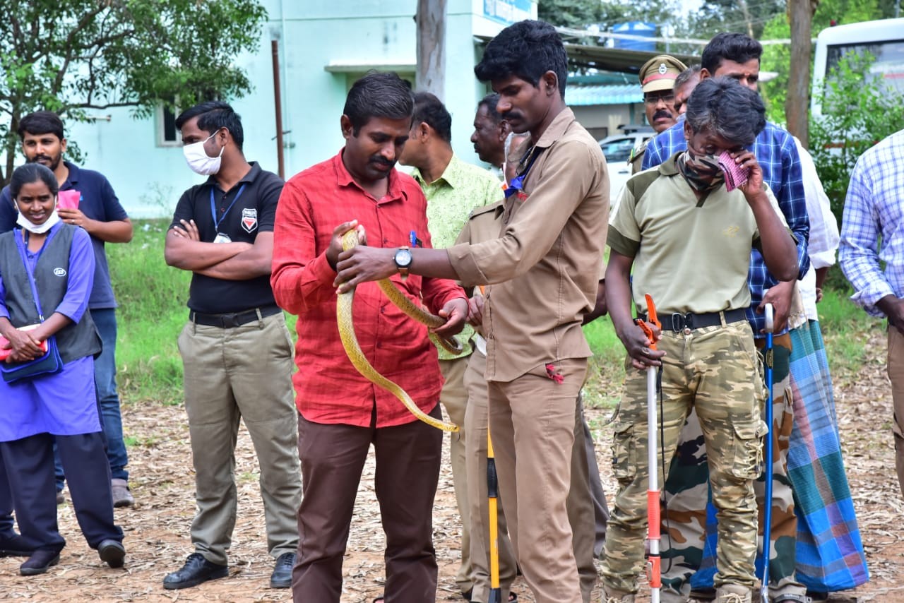 Mr Vijaya kumar handling a non poisonous snake